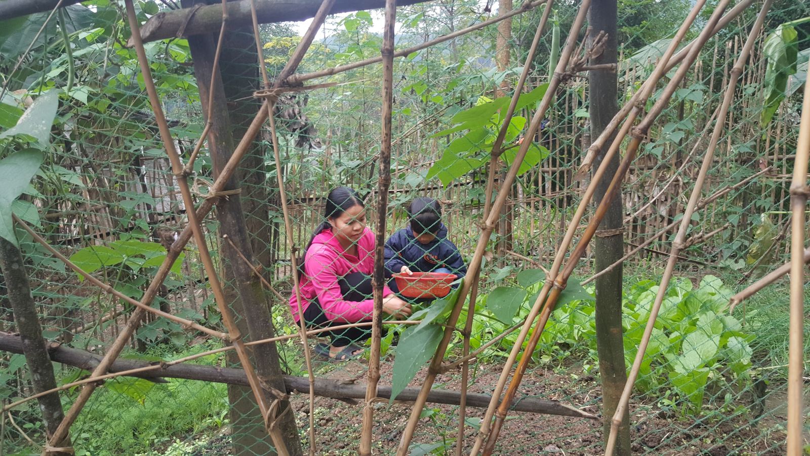 Nhiều trẻ em nghèo ở Nghệ An được thụ hưởng dinh dưỡng học đường