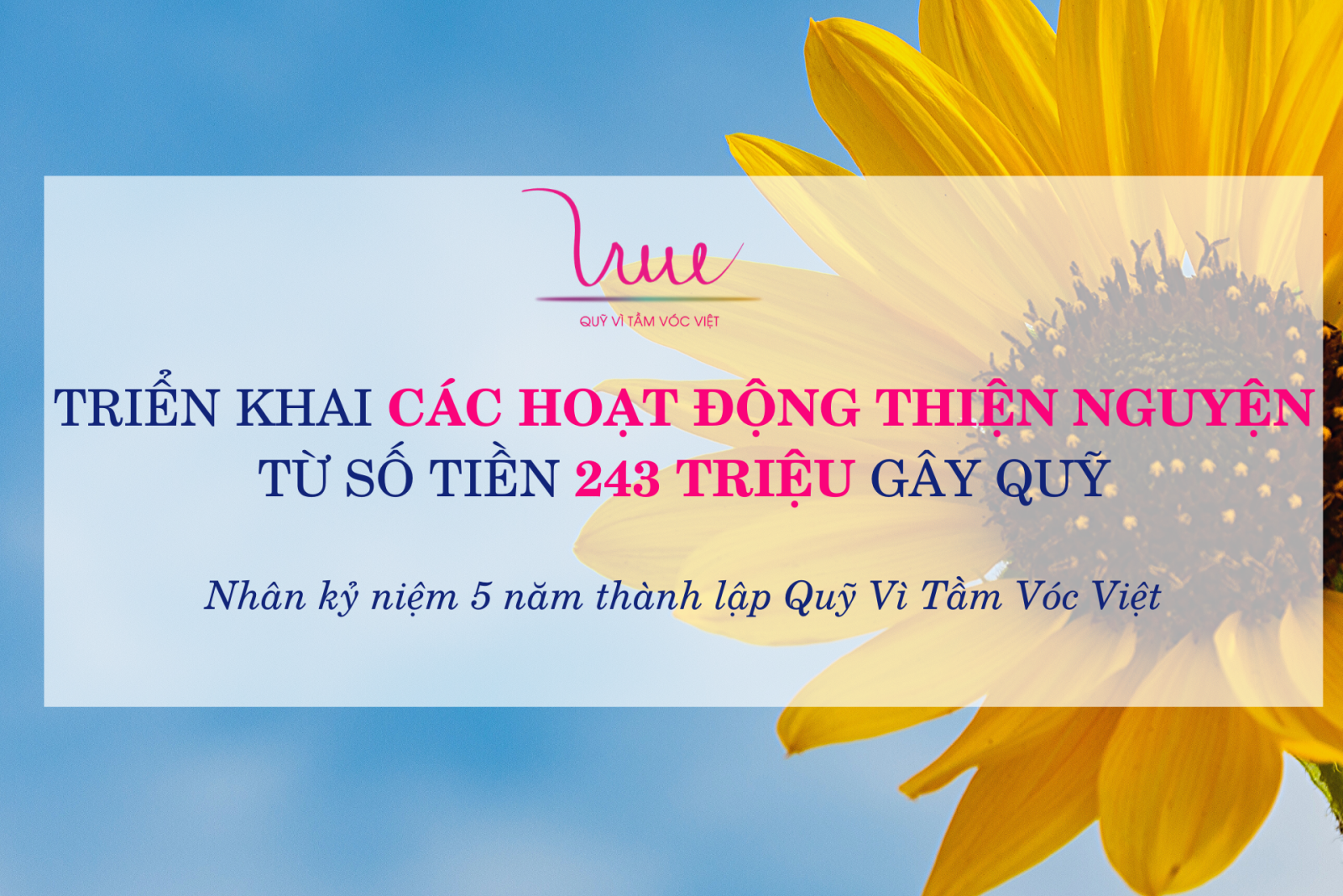 Triển khai các hoạt động thiện nguyện từ số tiền 243 triệu gây quỹ nhân kỷ niệm 5 năm thành lập Quỹ Vì Tầm Vóc Việt