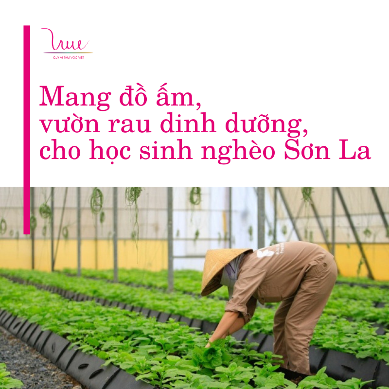 Mang vườn rau dinh dưỡng, đồ ấm cho học sinh nghèo Sơn La