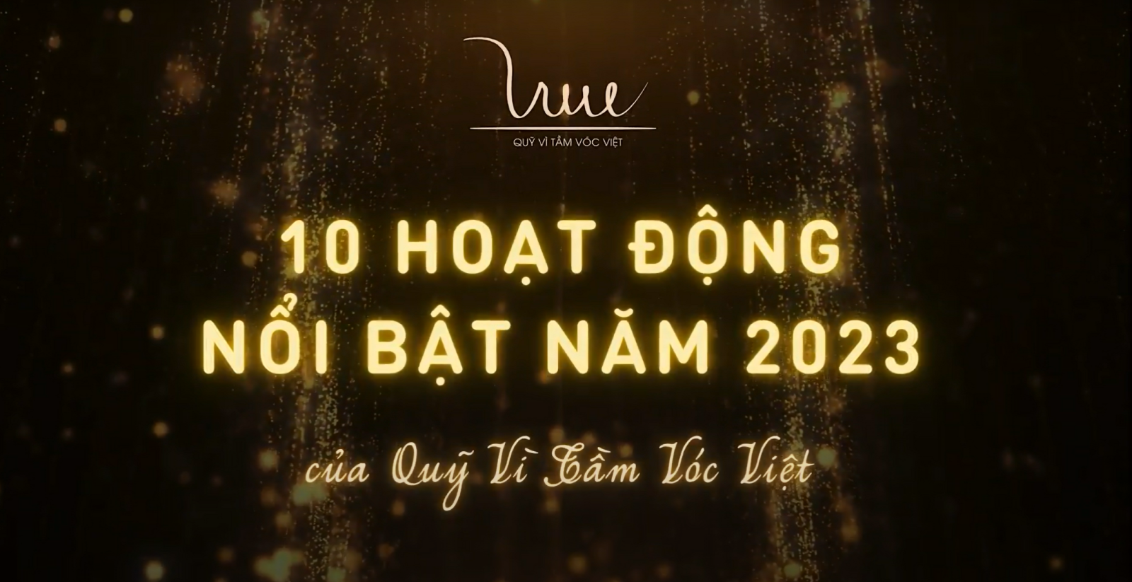 10 hoạt động nổi bật năm 2023 của Quỹ Vì Tầm Vóc Việt