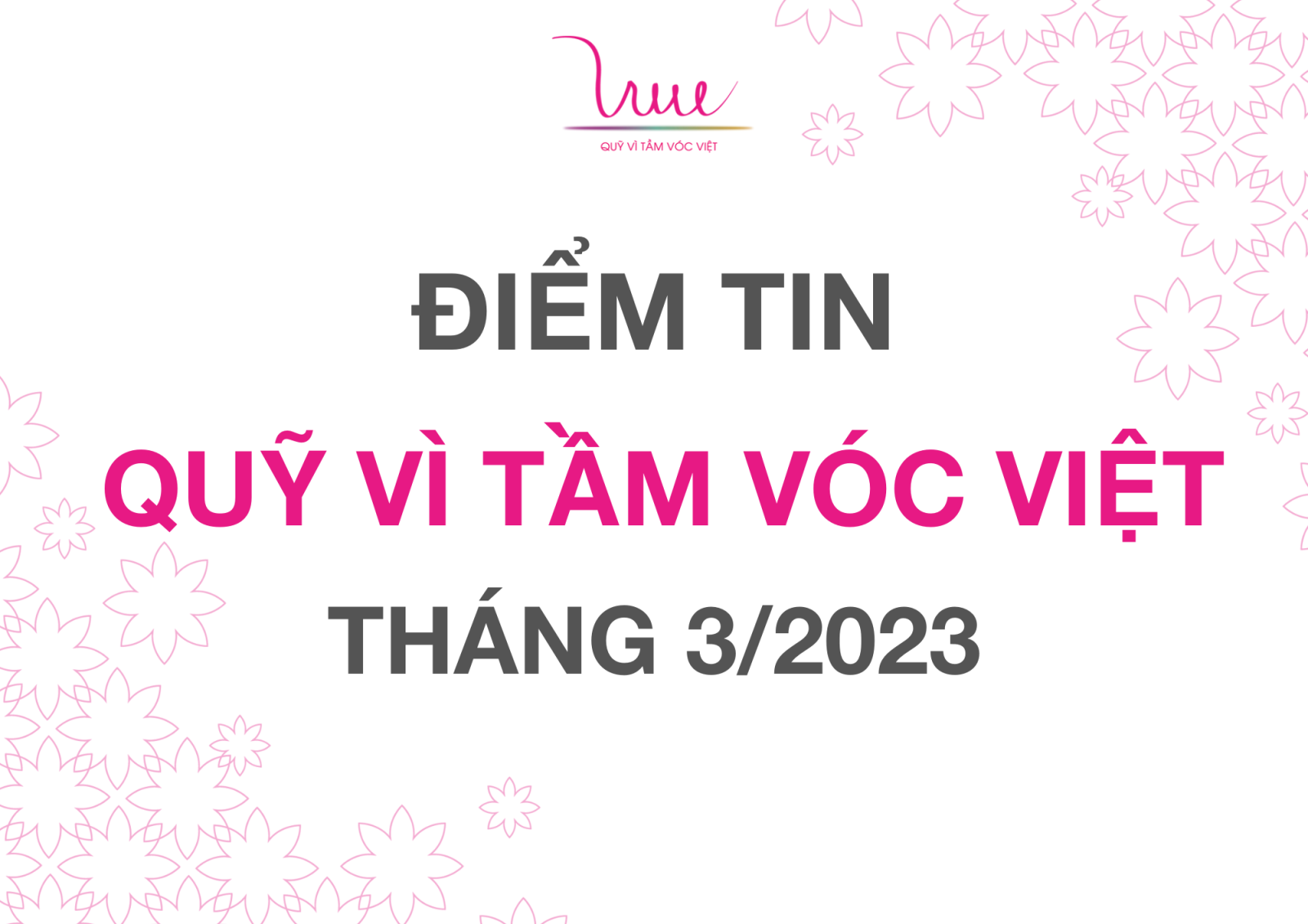 Điểm tin Quỹ Vì Tầm Vóc Việt tháng 3/2023