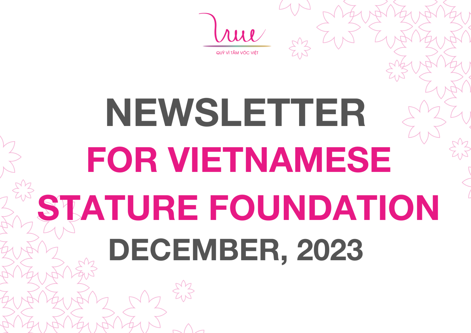 VSF's Newsletter in December 2023