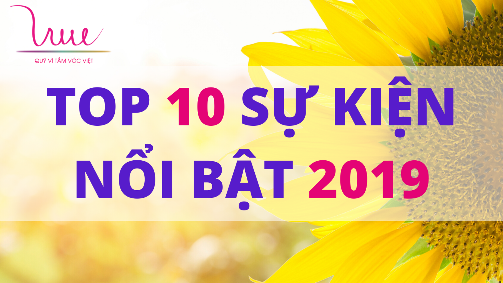 Top 10 sự kiện nổi bật Quỹ Vì Tầm Vóc Việt 2019