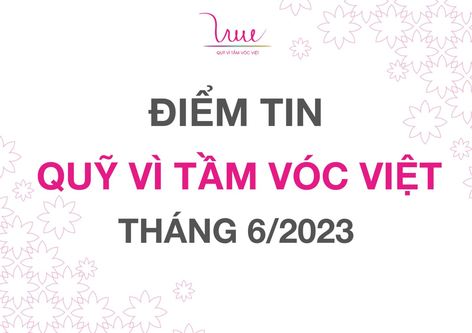 Điểm tin Quỹ Vì Tầm Vóc Việt tháng 6/2023