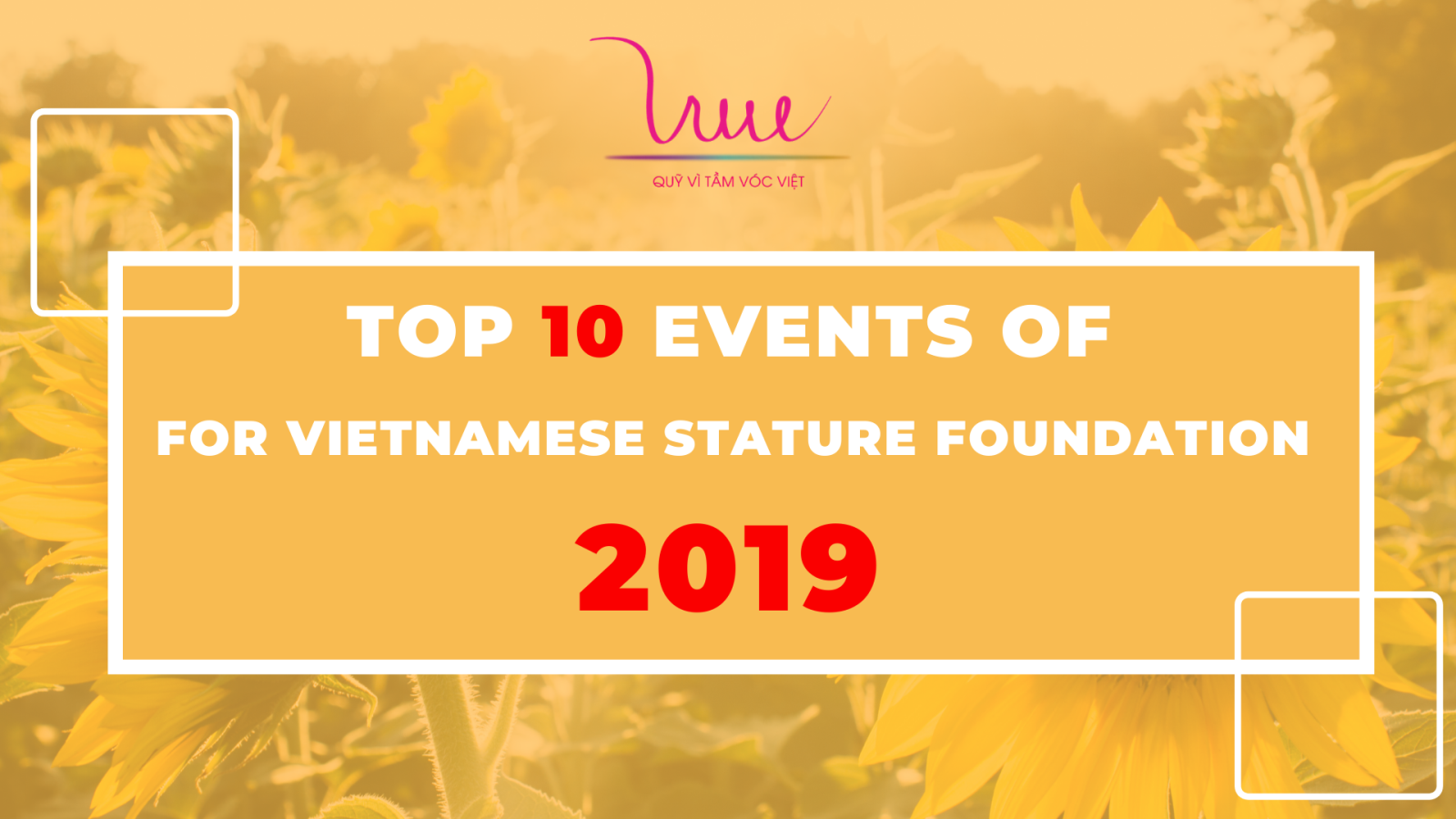 Top 10 events of For Vietnamese Stature Foundation 2019