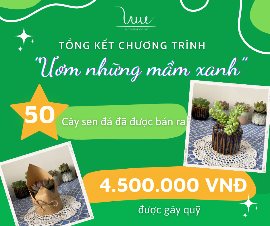 Tổng kết chương trình “Ươm những mầm xanh”