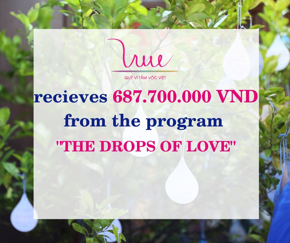 VSF receives 687.700.000 VND of donation from the program “The Drops of Love"